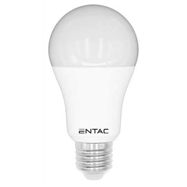 Entac LED Globe E27 15W CW 6400K