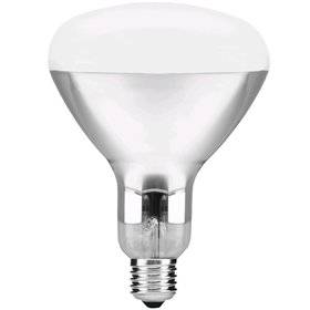 Avide Infrapunalamppu E27 100W Kirkas