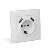 Entac Arnold Recessed wall socket earthed + 2 USB 2.1A (total) White