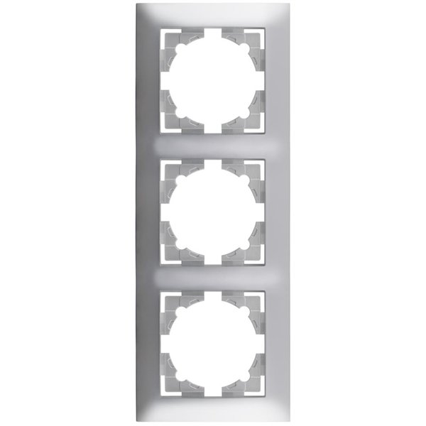 Entac Arnold Vertical wall frame 3 Silver