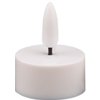 Entac Tea Candle WW Flickering White 3.6x4.3cm CR2032 incl.