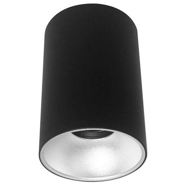 Avide GU10 prožektorius apvalus, juodas-sidabrinis