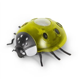 Entac Garden Solar Lamp Ladybug, 14.5x12x6cm, 6pcs SMD LED, yellow