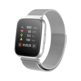 Forever smartwatch ForeVigo 2 SW-310 silver