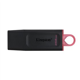 USB atmintukas Kingston DTX/256GB Raktų grandinė Juoda 256 GB