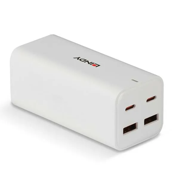 Seinalaadija LINDY Valge 100 W