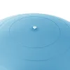 Kuntopallo pumpulla Springos FB0006 55cm