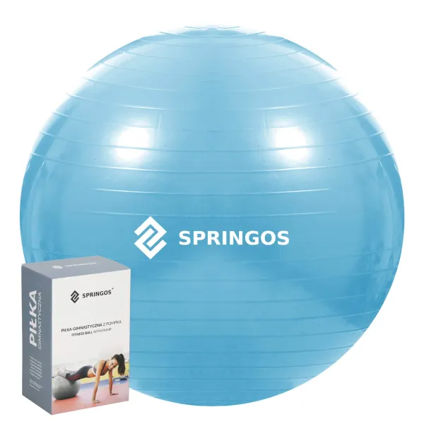 Мяч для упражнений с насосом Springos FB0006 55см