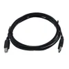 UTP Kategooria 6 Jäik Võrgukaabel Kramer Electronics 96-0215006 Must 1,8 m 1 Ühikut