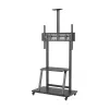 TV Mount Aisens FT100E-135 37" 100"