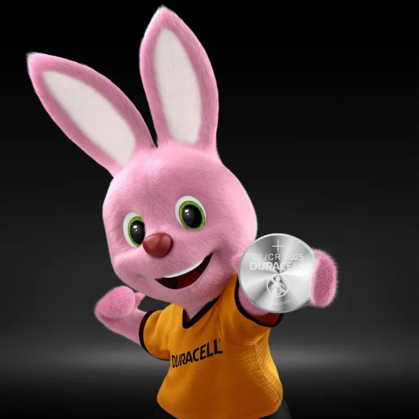 Батарейки DURACELL 3V (10 штук)