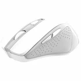 Rebeltec skaļrunis SoundBox 650 80W RMS