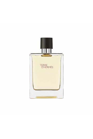 Hermes Terre D'Hermes Eau De Toilette Spray 100ml