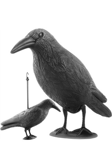 Bird scarer - raven