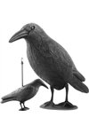 Bird scarer - raven