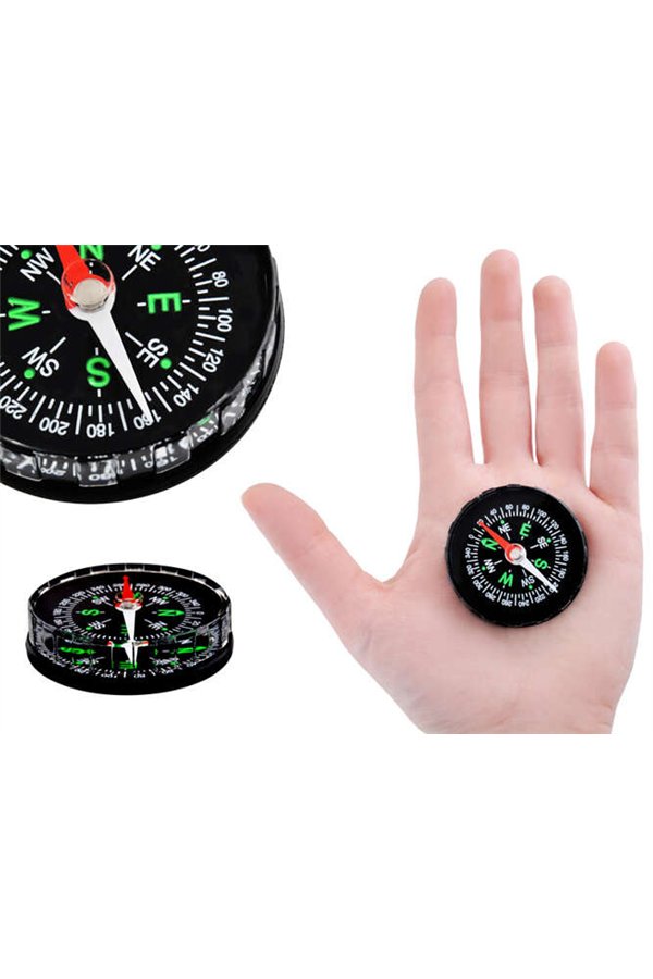 Pocket compass