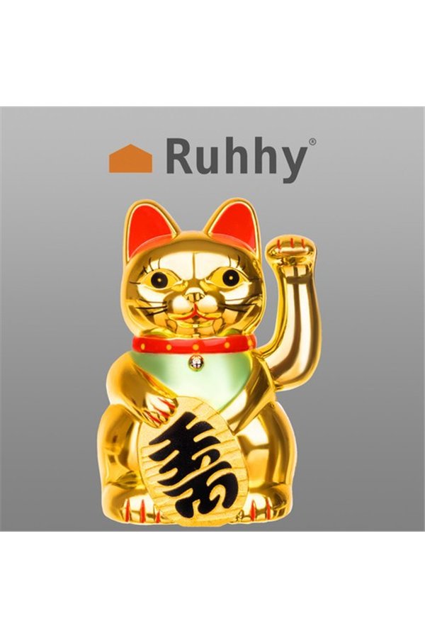 Chinese cat - golden