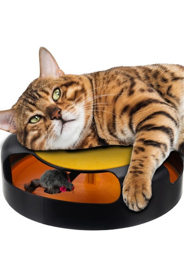 Cat toy - wheel with mouse