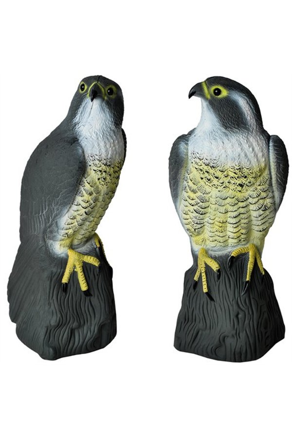 Bird scarer - falcon