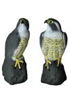 Bird scarer - falcon