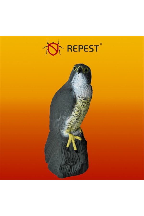 Bird scarer - falcon