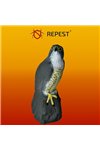 Bird scarer - falcon