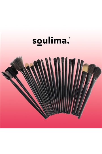 Makeup brushes 24 pcs P8573