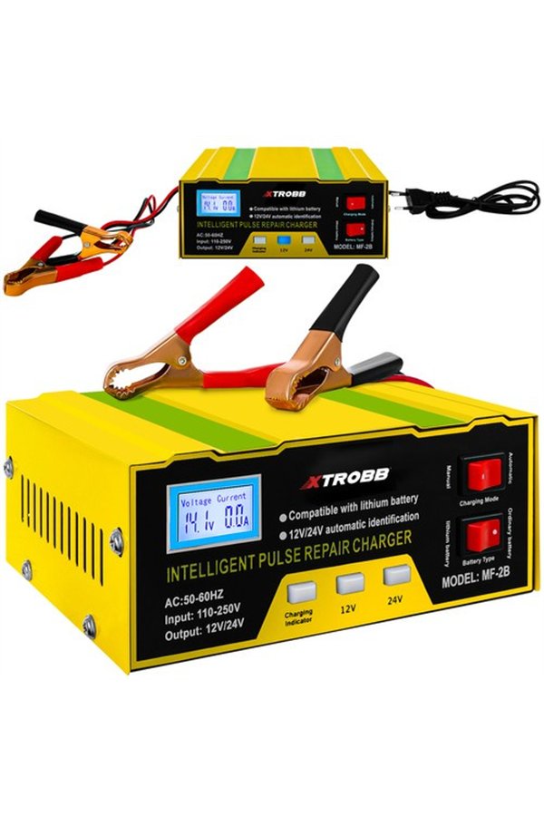 12V/24V akumuliatoriaus lygintuvas