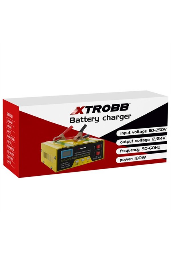 Battery charger 12V/24V