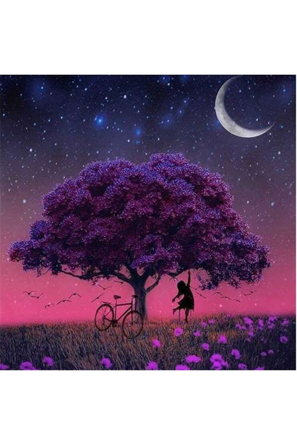 Deimantų siuvinėjimo mozaika H16137