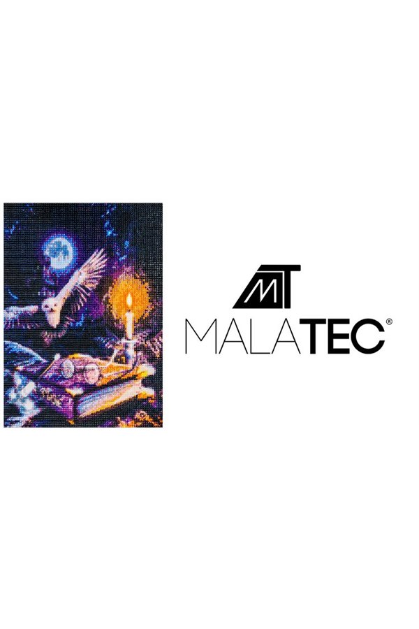 Deimantų siuvinėjimo mozaika H16217