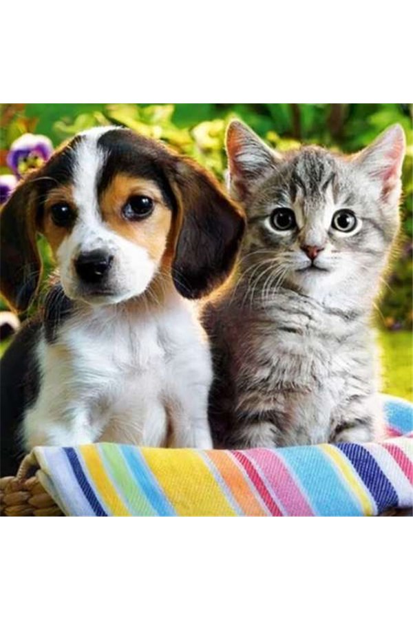 Timanttikirjonta mosaiikki H16215