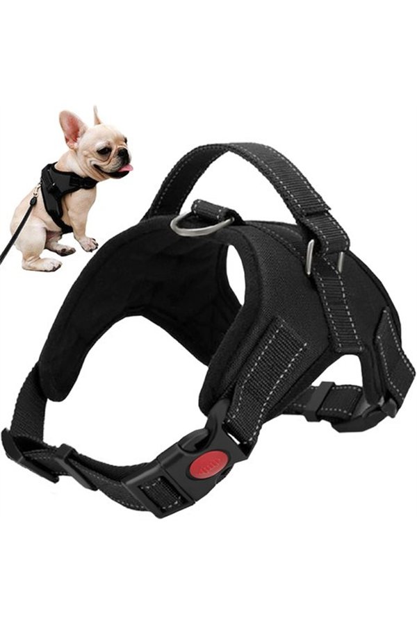 Pressure-free dog harness S