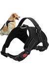 Pressure-free harness for dogs M