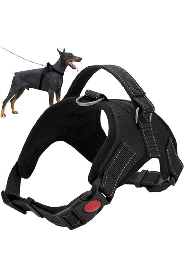 Pressure-free dog harness L