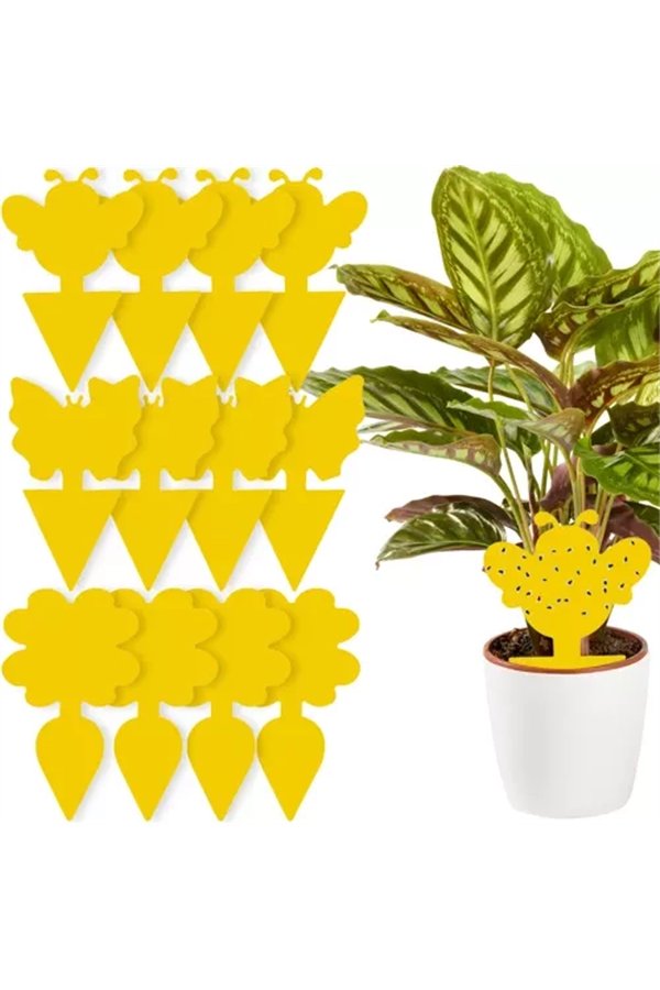 Insect glue - 12 pcs. Repest 19053