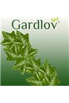Artificial ivy - garland 12.6m Gardlov 19733