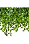 Artificial ivy - garland 25.2m Gardlov 19735