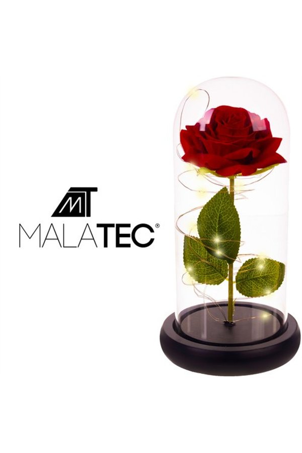 Ruusu lasissa - valoisa Malatec 21619