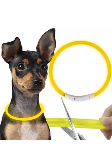 LED light-adjustable collar Purlov 21631