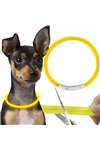 LED light-adjustable collar Purlov 21631