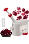 Ruhhy 20623 cherry pitter