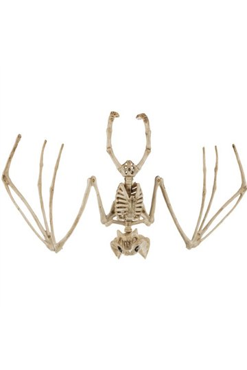 Sikspārņa skelets - dekorācija 30cm Malatec 22005