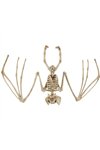 Bat skeleton - decoration 30cm Malatec 22005