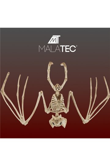 Bat skeleton - decoration 30cm Malatec 22005