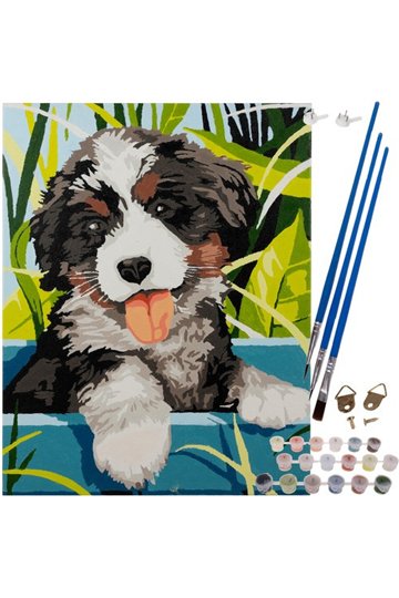 Painting by numbers 40x30cm - dog Maaleo 22780