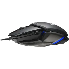 Bambusa rotangpalmas laterna Gardlov 24282