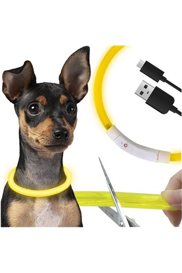 LED light collar - adjustable Purlov 24200