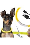LED light collar - adjustable Purlov 24200