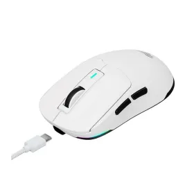 Mänguri Hiir Havit MS969WB Valge